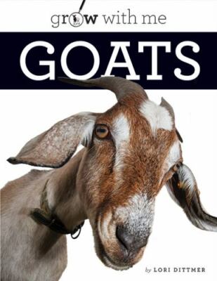 Goats by Dittmer, Lori