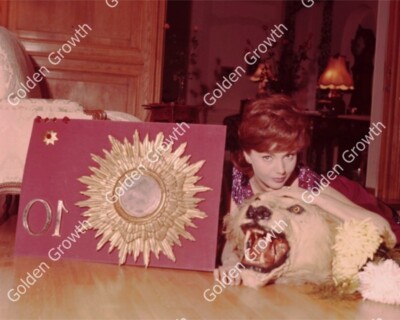 Sylva Koscina 8x10 Rare Photo