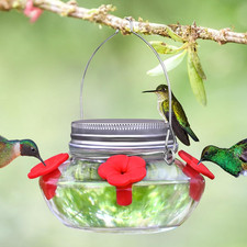 Glass Hummingbird Feeders for Outdoors Hanging, Cute Mason Jar Shape with 4 Sili