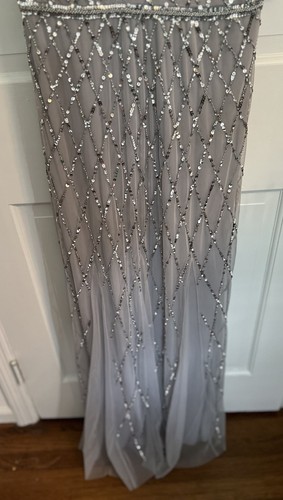 Adrianna Papell Platinum Size 10 Silver Beaded Tulle Bridesmaids Dress Formal - Picture 4 of 17