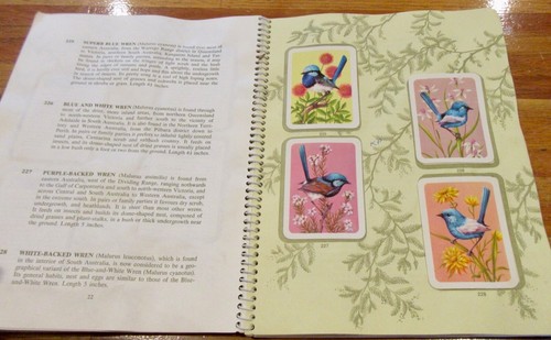 Tuckfields BIRD Card ALBUM #3 Complete No 197 to 288 Spiral bound sc in MELB - Bild 8 von 12