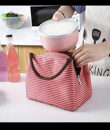 Lunch/Tote Bag for Women Lunch Box Insulated Lunch Container