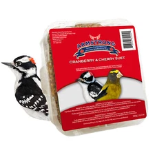 Armstrong Wild Bird Food Cranberry and Cherry Suet Cake, 11.3oz