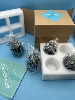 Arthemes Artificial Succulents Set Of 4 New Green House Plants Small Mini Fake