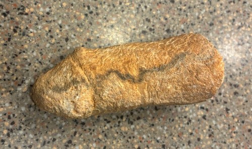 Cock Rock - Picture 3 of 8