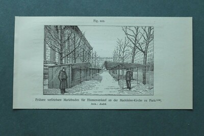 SHA) Paris 1909 Markt Buden Blumen Madeleine Kirche Architektur Frankreich 18x9