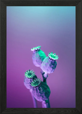 Lila Blume Zweig gerahmtes Wandbild Poster Leinwanddruck Bild