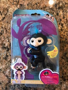 black fingerling monkey