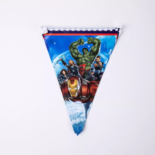 Kids Birthday Decoration Spiderman Avengers Theme Party Supplies Princess Frozen - Picture 19 of 27