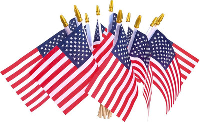 12 Pcs Small American Flags on Stick,Patriotic Decorations Small USA Flags on St