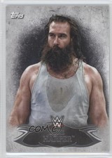 2015 Topps WWE Undisputed Mr Brodie Lee Luke Harper #68 2o7