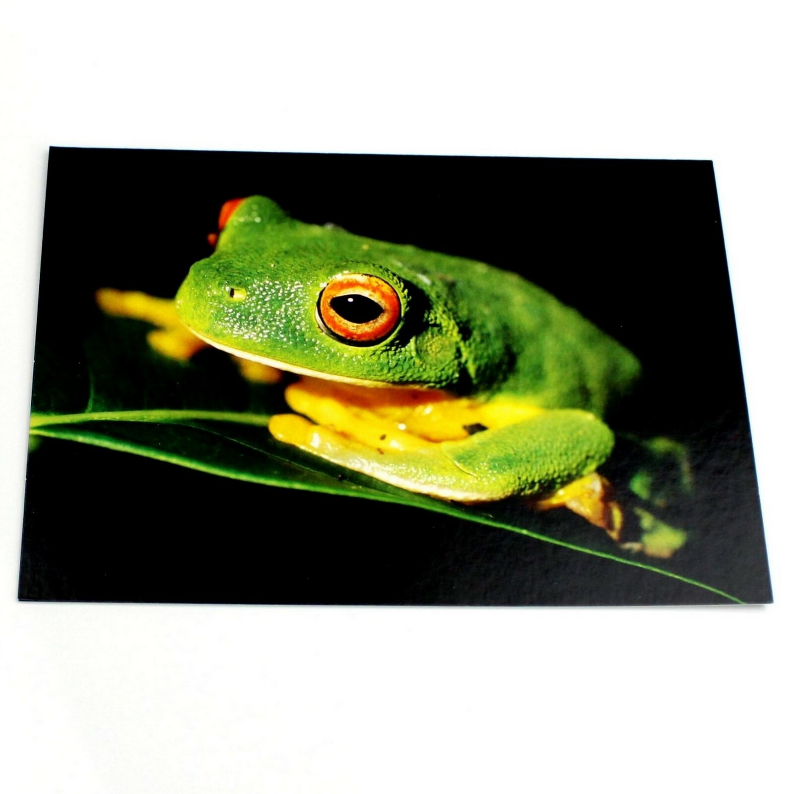 Picture 1 of 3