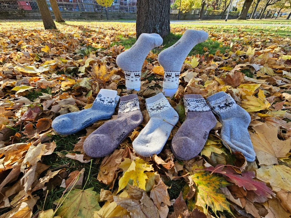 Calcetines térmicos 100 % lana de yak - ultra cálidos y cómodos - talla 7-8 1/2 CYMRG37 Foto 4 de 4