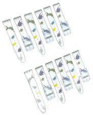 Plastic PVC Watch Band Transparent Art Design Swatch Replacement with Pins 17mm