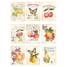 Sweet Apricot  Decor Transfers  636951 Redesign