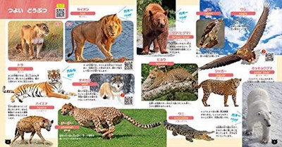 Enjoyable Animal Picture Book with English & Animal Sounds! | eBay