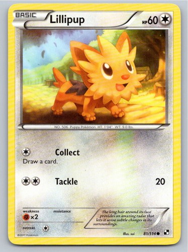 2011 POKEMON BLACK & WHITE LILLIPUP 81/114 C NM A97492 FREE S&H