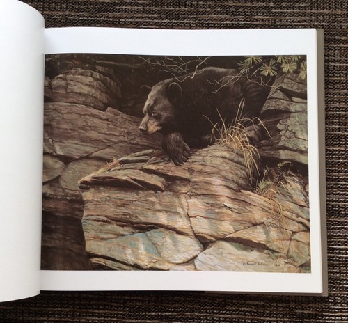 RARE SIGNED 1983 Die Kunst des Malers Robert Bateman: Art of R. Bateman, German - Imagen 4 de 12