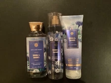 Bath & Body Works Denim & Daisies Shower Gel 10oz, Mist 8oz & Body Cream 8oz
