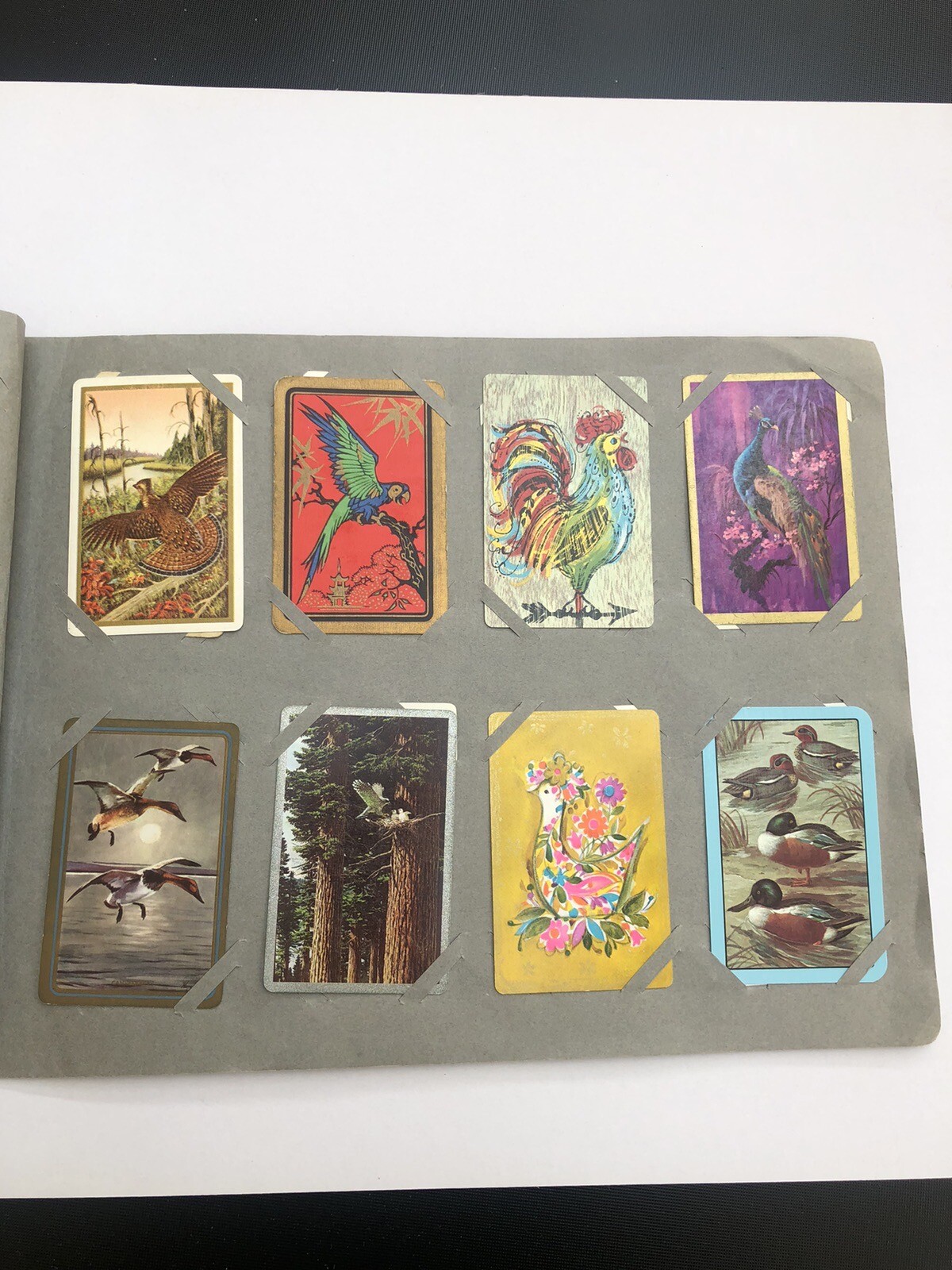 Vintage Swap Cards 63 Bird Themed Cards and Album eBay