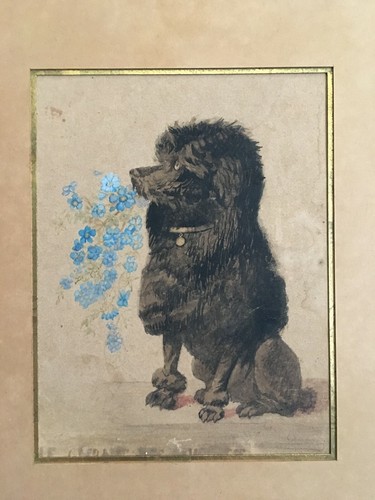 Aquarelle XIXe Belle époque Petit chien Caniche aux fleurs Art Nouveau - Photo 2/10