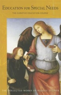 EDUCATION FOR SPECIAL NEEDS by Rudolf Steiner Paperback Self Help Business