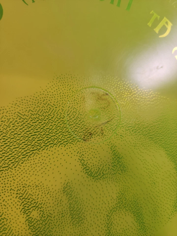 Innova Champion Gator Jimi Hendrix Bark At The Moon Experience Super Rare 175g - Image 2 of 4