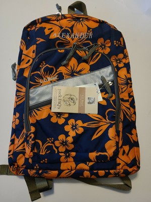 sophia webster backpack