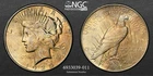 1925-P $1 Peace Silver Dollar NGC AU Details - Stained