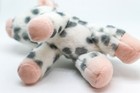Bild 7 von 12
