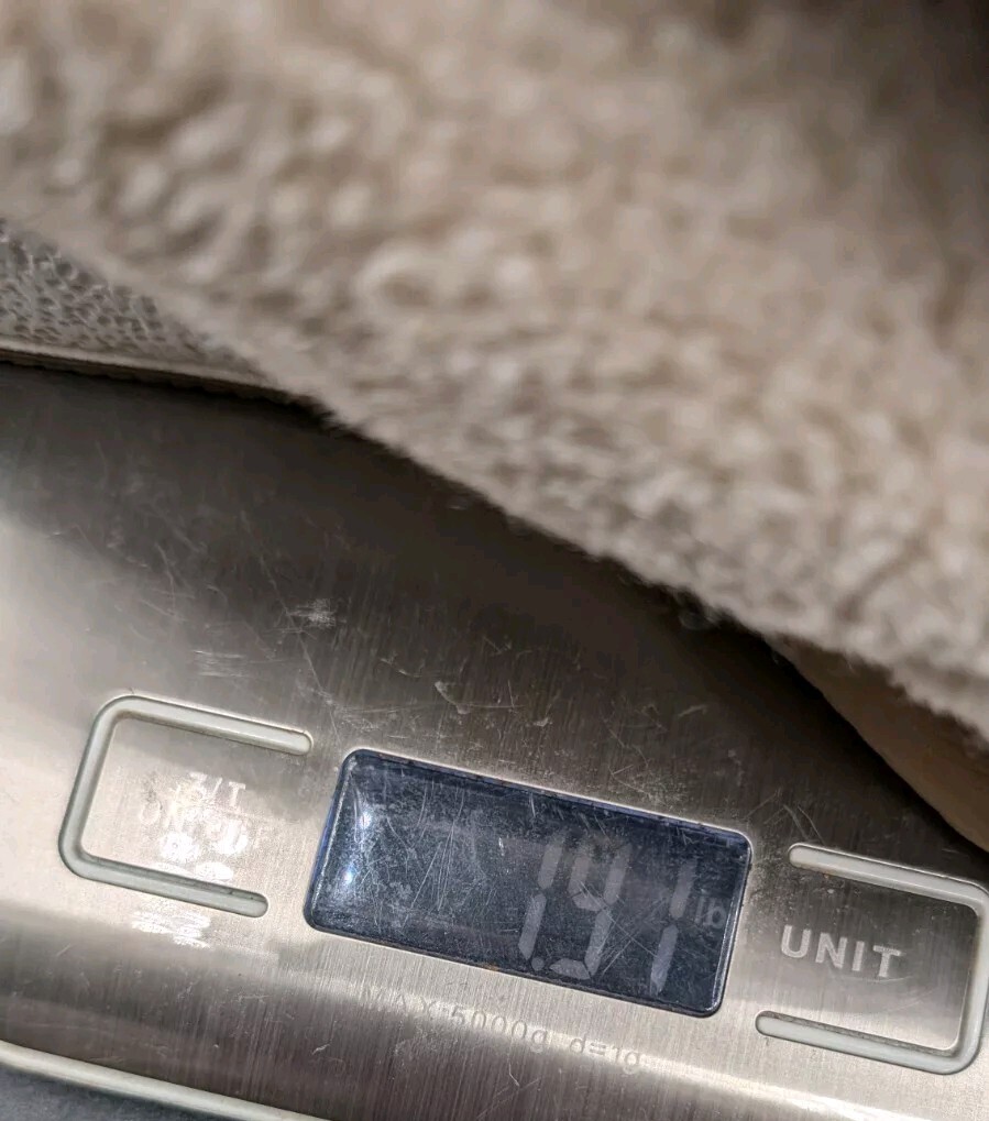 STELLA MCCARTNEY Loop Alter Curl Teddy Vanilla sn… - image 13