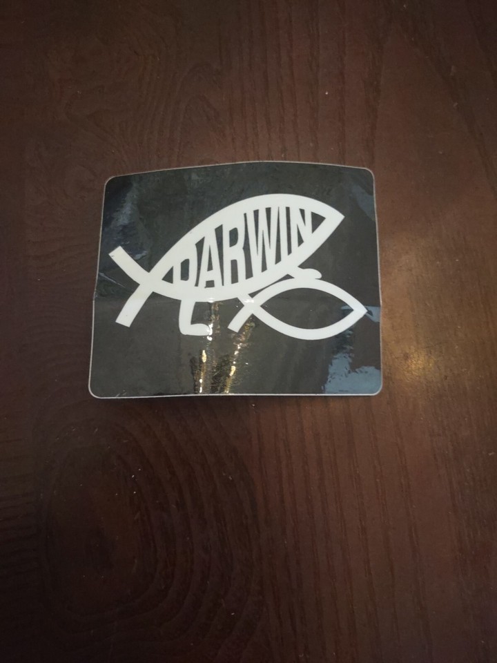 Darwin Fish Sticker | eBay