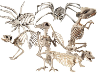 Halloween Mensch Tier Skelett Crazy Bones Einweg Party Requisiten Dekoration Neu