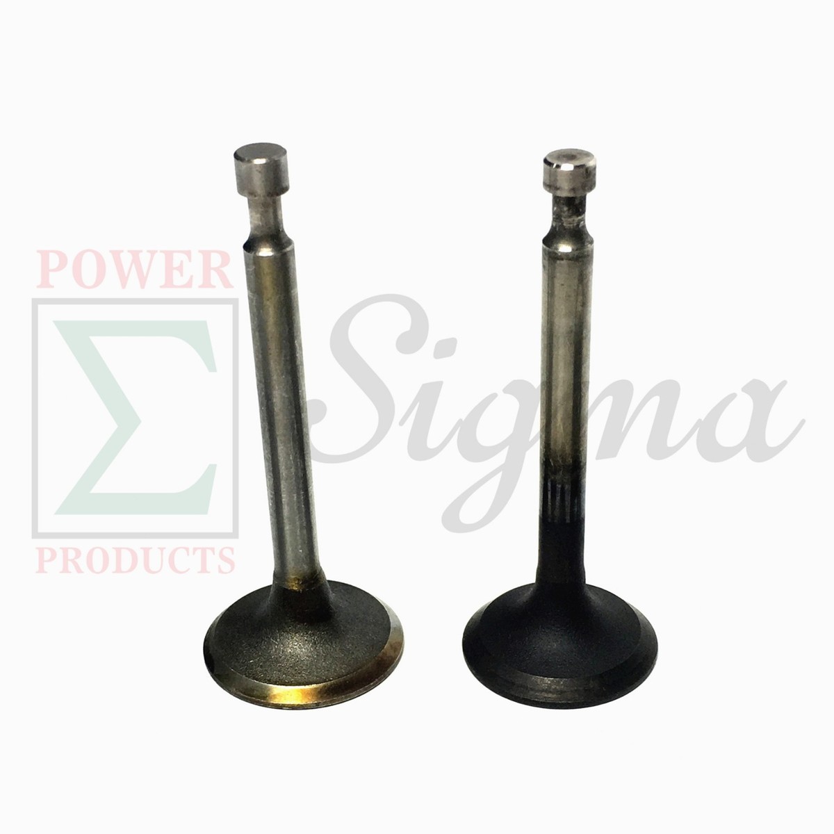 Inlet & Exhaust Valve Set For Honda 5.5HP 6.5HP GX160 GXV160 GX200