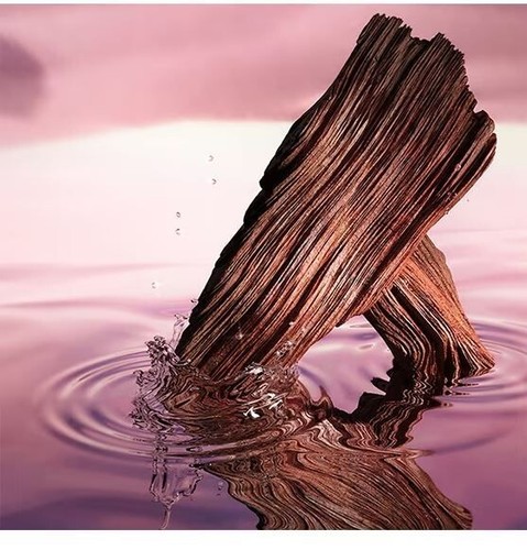 Estee Lauder Desert Eden Eau de Parfum 40 ml. - Imagen 2 de 5
