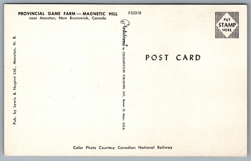 Postcard Moncton NB c1960s Provincial Game Farm Magnetic Hill Old Cars Flag - Picture 2 of 2