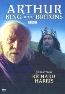 Arthur - King of the Britons [DVD] von not specified | DVD | Zustand sehr gut