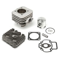 Hochmotor Scooter Kompatibel Mit Piaggio 50 Zip 2T, Typhoon, Liberty 2T - Gilera