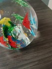Vintage Fish Themed Paper Weight — photo 6