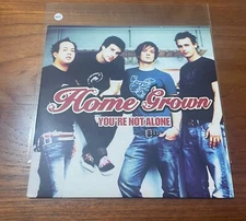 Home Grown 7" You're Not Alone Vinyl 2003 UK Eat Sleep Records Drive Thru a445