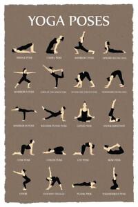 Yoga Pose Chart Poster