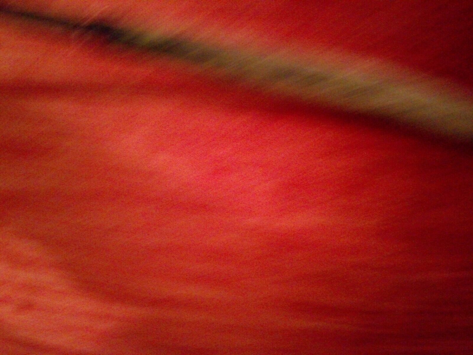 Picture 8 of 24