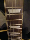 Picture 5 of 19