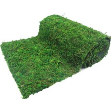 12x71 Inch Dried Moss Table Runner Roll Preserved Green Artificial Mat Wall