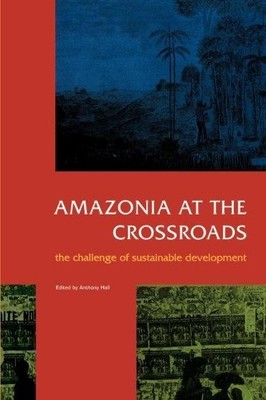 Amazonia at the Crossroads (Taschenbuch)
