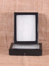 Collector's Display Case: 3 x 4 x 3/4" (Riker Type) - Package of 2