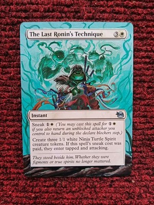 The Last Ronin's Technique Teenage Mutant Ninja Turtles Hand Painted Altered Art