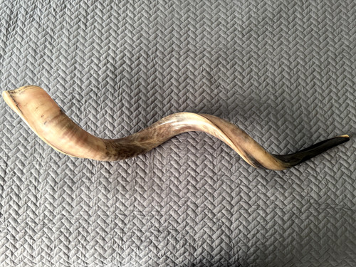 XXL Kudu Yemenite Horn Shofar 45'' 114Cm Kosher Full Polished + Bag