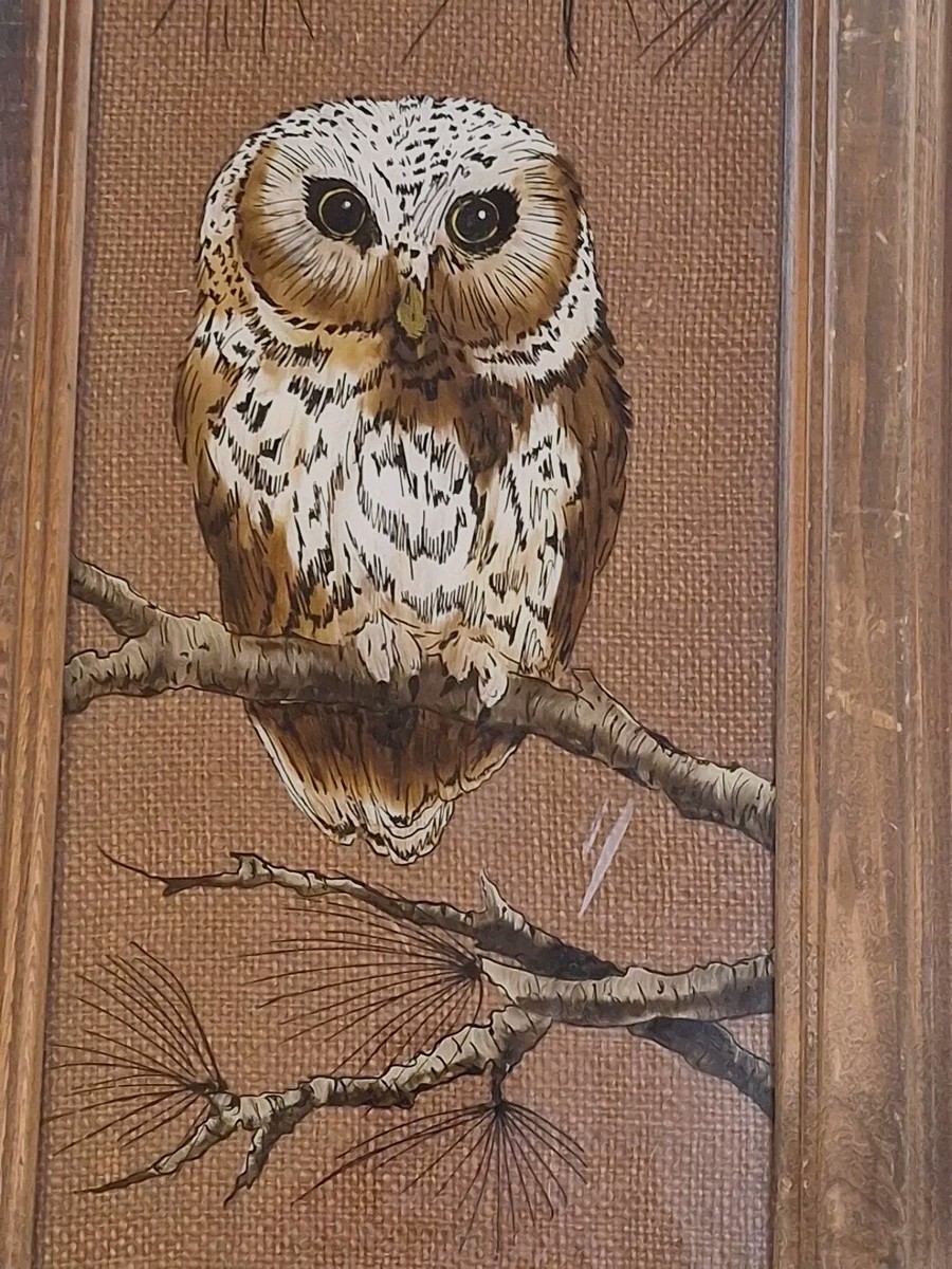 Signed Reverse Painting Owl on Glass Sitting in Tree Framed 24