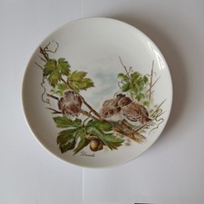 Sammelteller " Drosseln" Wandteller AK KAISER W. Germany Vögel Ø ca. 20 cm